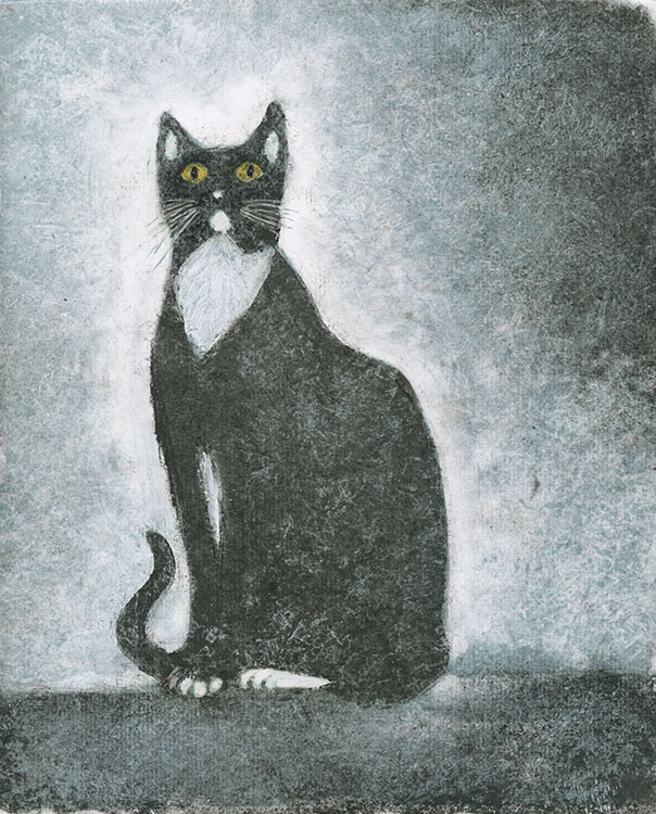 Tuxedo cat looking up.