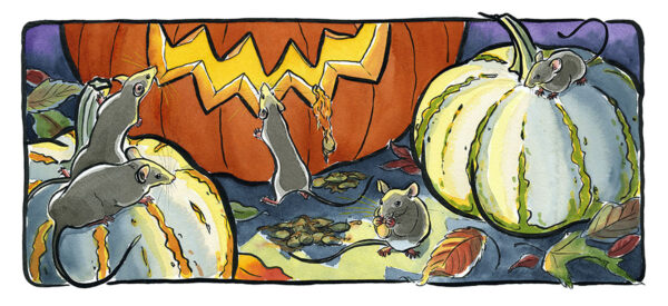 Mice and a jack-o-lantern.