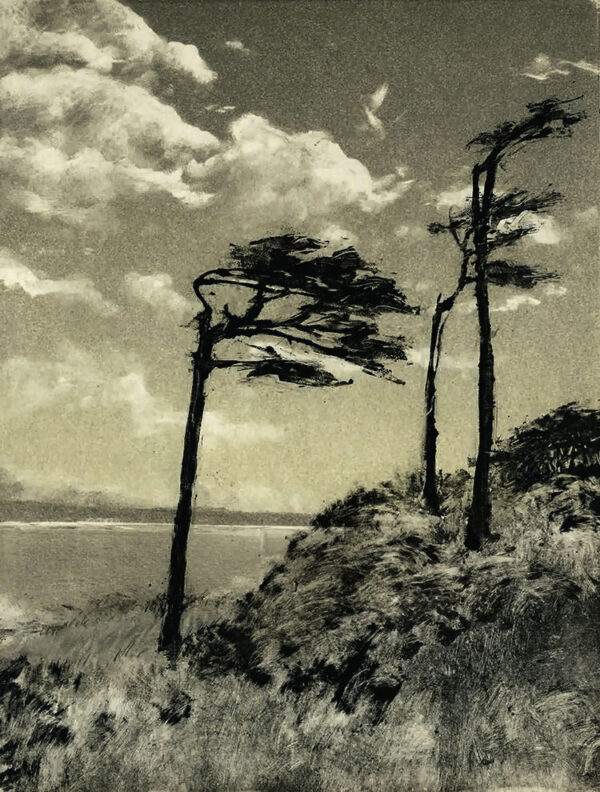 Black & White image of trees, water, & clouds